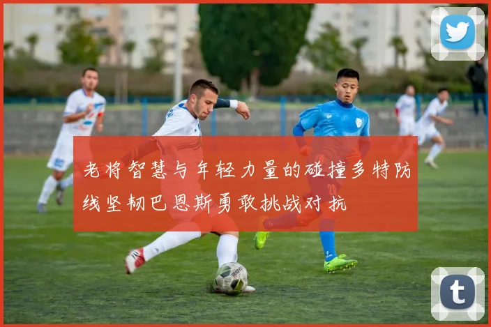 老将智慧与年轻力量的碰撞多特防线坚韧巴恩斯勇敢挑战对抗