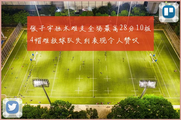张子宇独木难支全场最高28分10板4帽难救球队失利表现令人赞叹